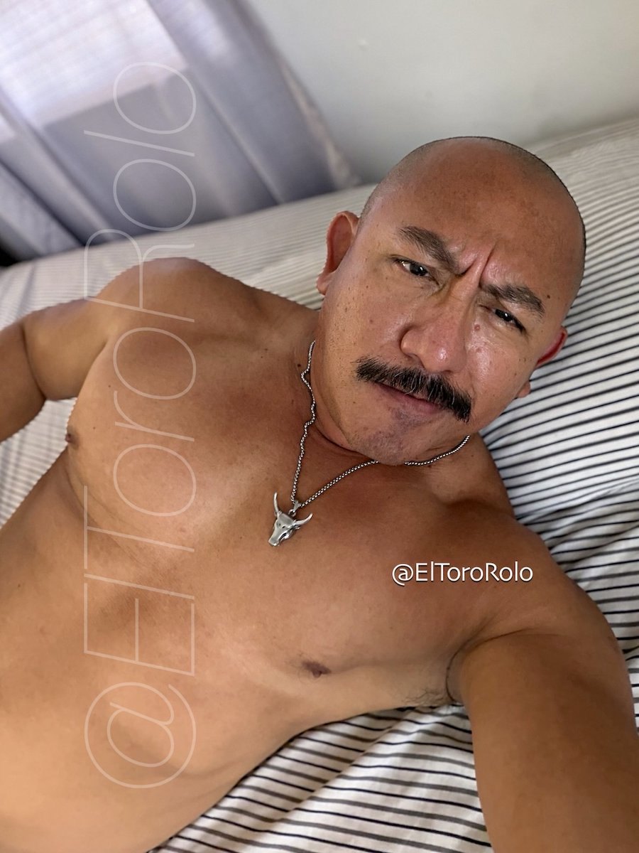 El Toro Rolo tweet media