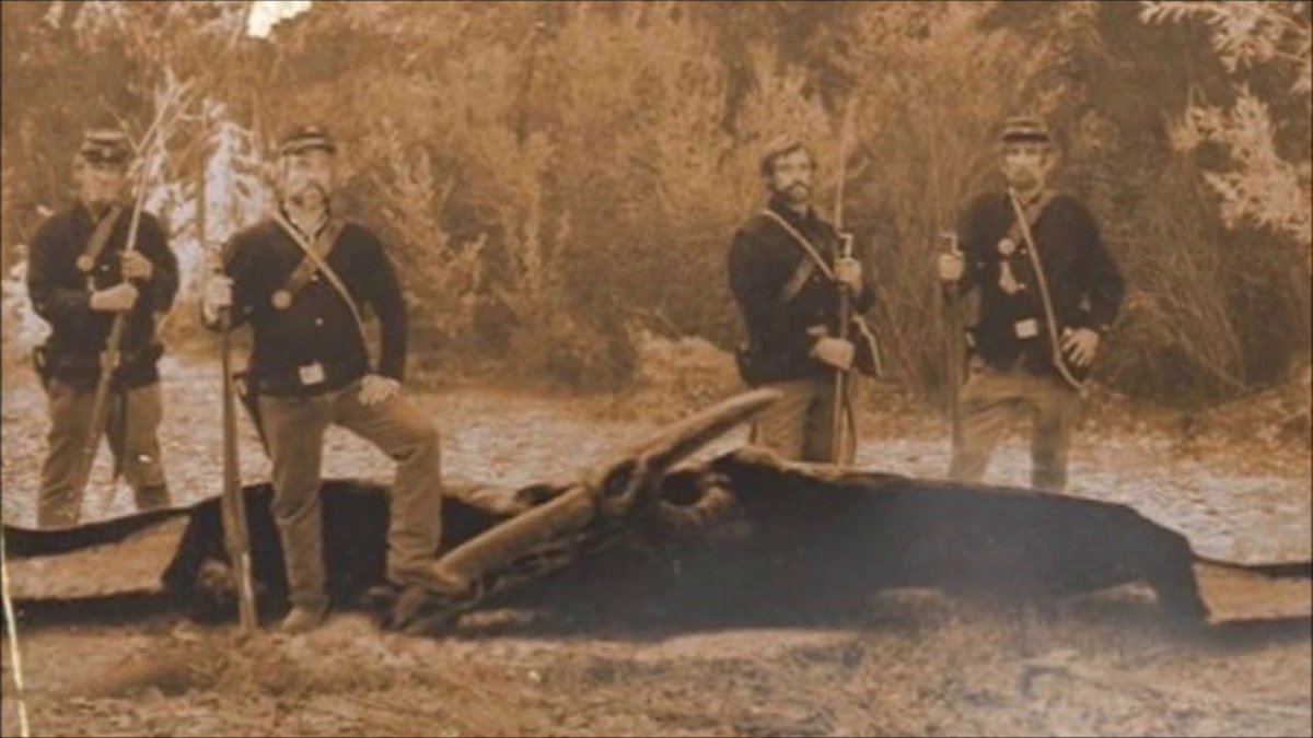 Erastus X tweet media