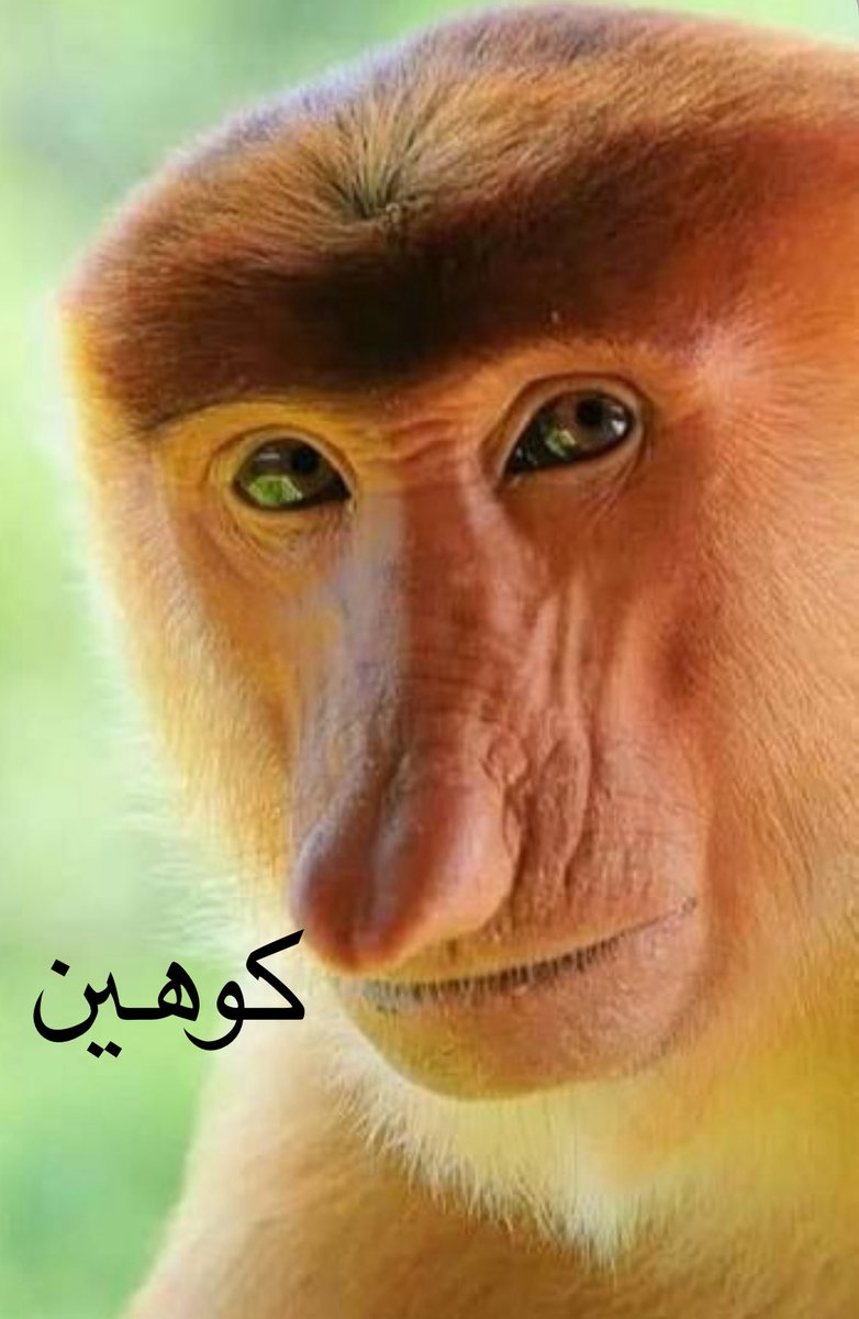 khalidotaibi73's tweet photo. @EdyCohen https://t.co/LOMfgUnEx5