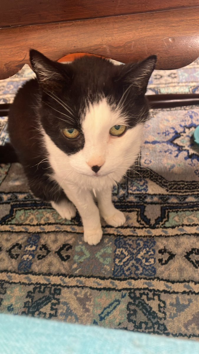 blair (abolishun type) tweet media