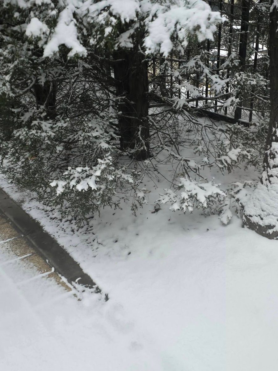 Dr. Benard William Chitunga tweet media