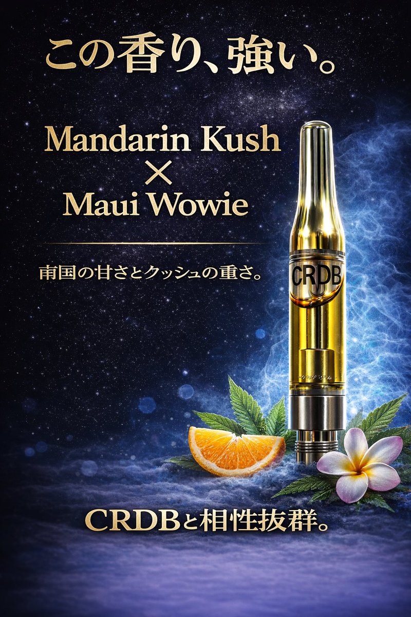 強さではなく、流れ。 CRDBを芯に、 Mauiの上昇で軽くほどき