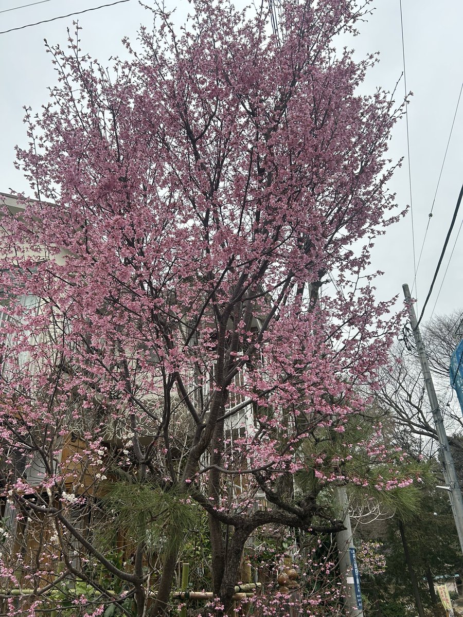 小澤實 句集『澤』重版出来 (@seisyokyo99) / Posts / X