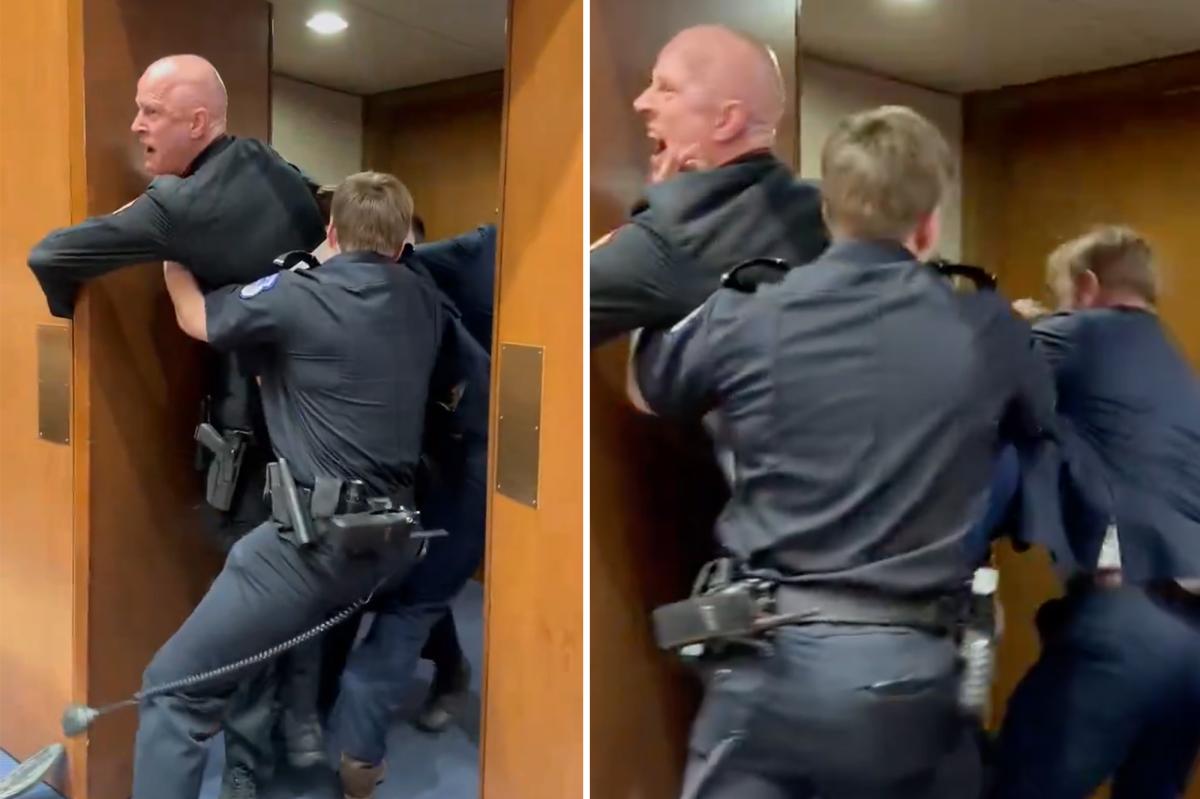 nypost's tweet image. GOP Sen. Tim Sheehy helps Capitol Police remove protester - who allegedly injured 3 officers and appeared to break his own arm - in wild scene trib.al/tN0vGnH