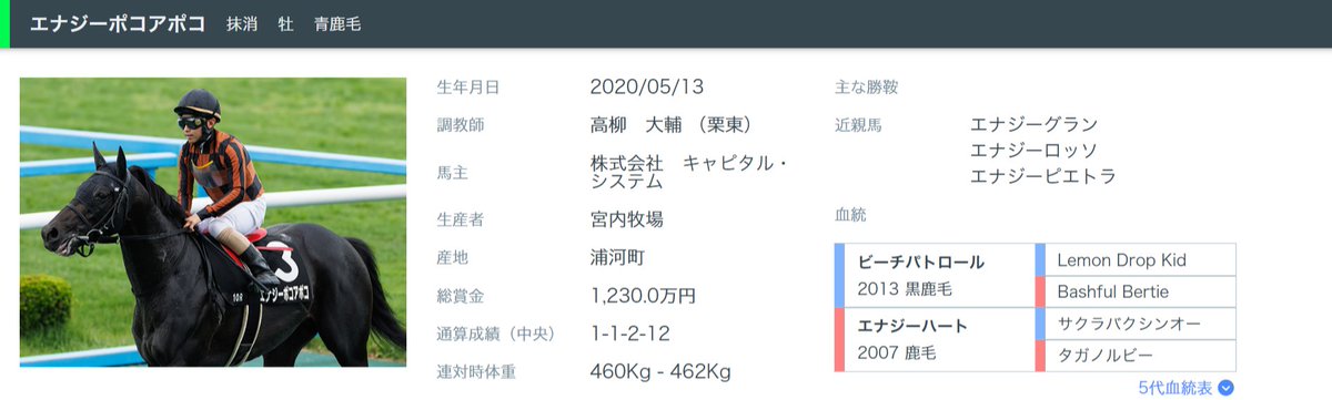 SPAIA競馬公式【AI×解析】 tweet media