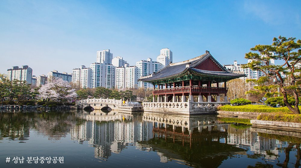 경기도 tweet media