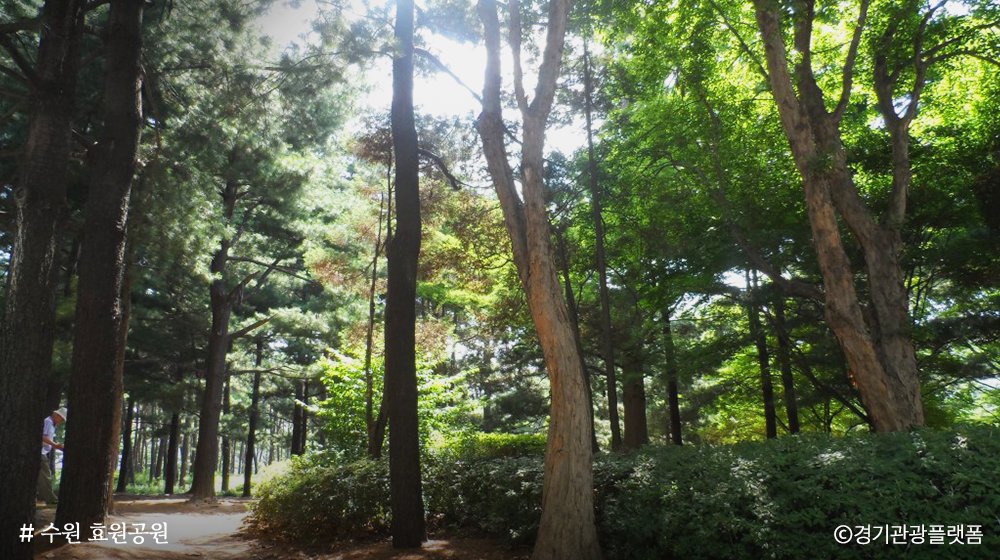 경기도 tweet media