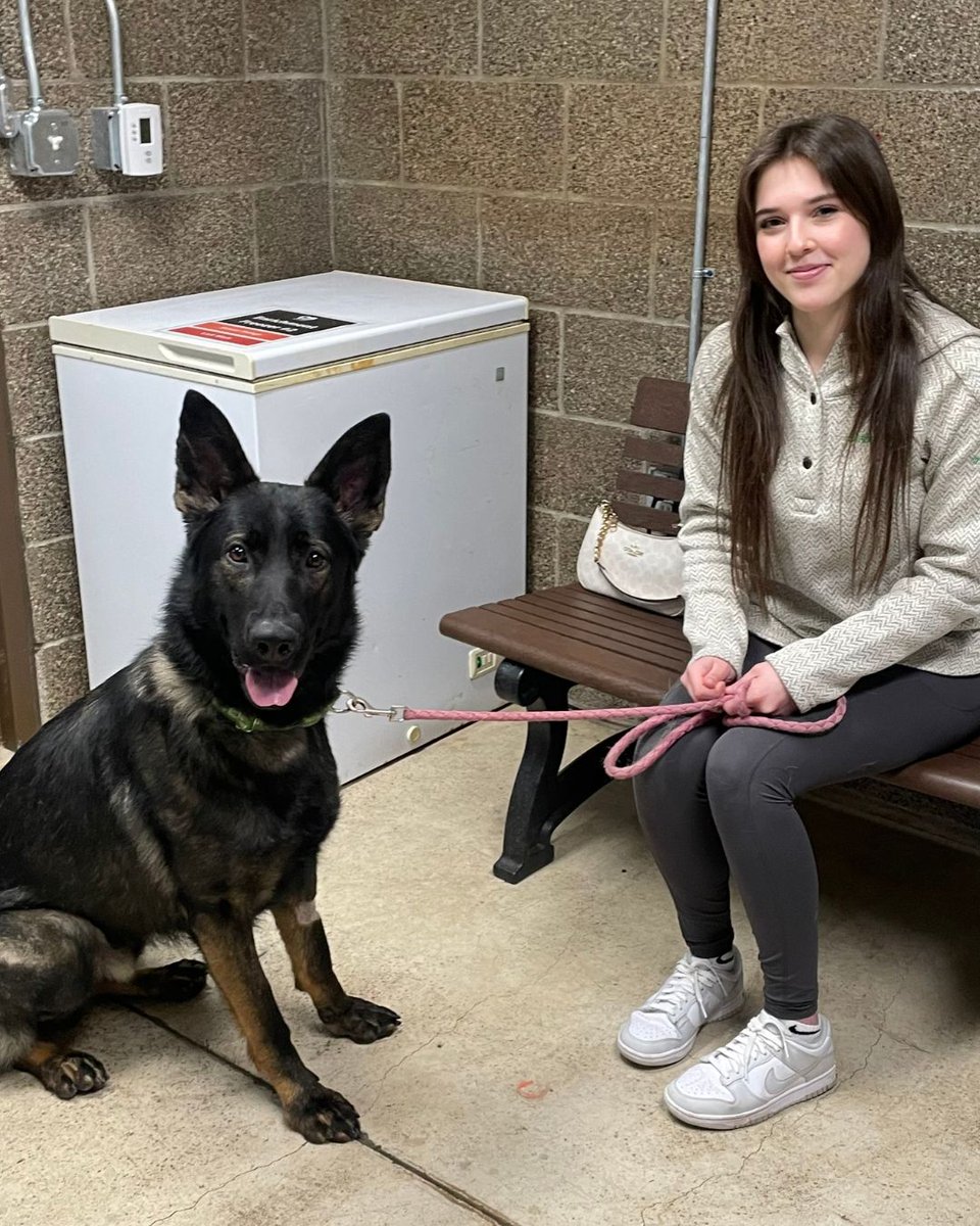 Greenhill Humane tweet media