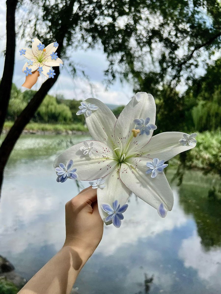 Bloomify tweet media