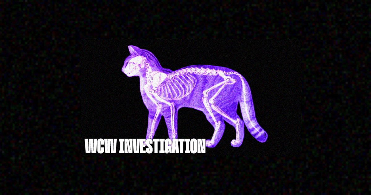 WhiteCoatWaste's tweet image. EXPOSED:

We just uncovered evidence that your tax dollars are funding gruesome experiments on lost pets.

This story will break your heart—and infuriate you:

Our latest investigation exposed NIH-funded cat abuse experiments at the University of Missouri-Columbia that should