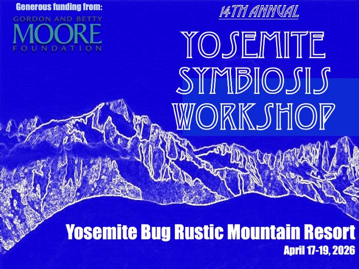 joel sachs tweet media