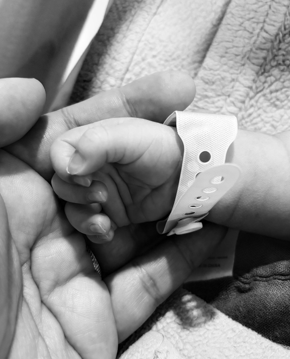 Joe Josue tweet media