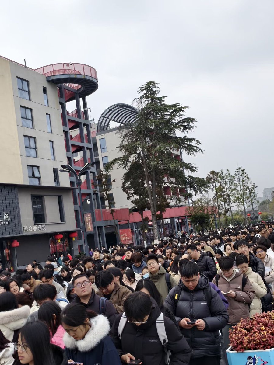 佩索阿 tweet media