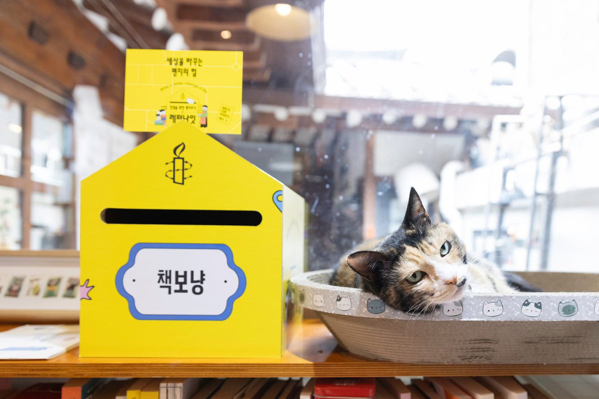 동네서점 tweet media