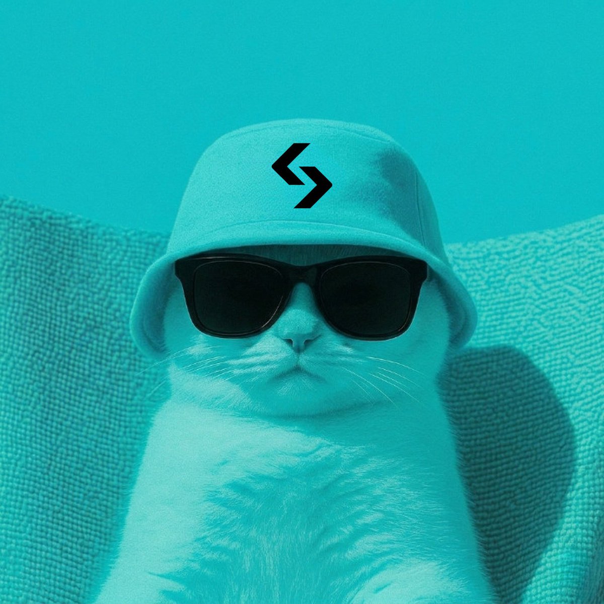 BitgetPakistan tweet media