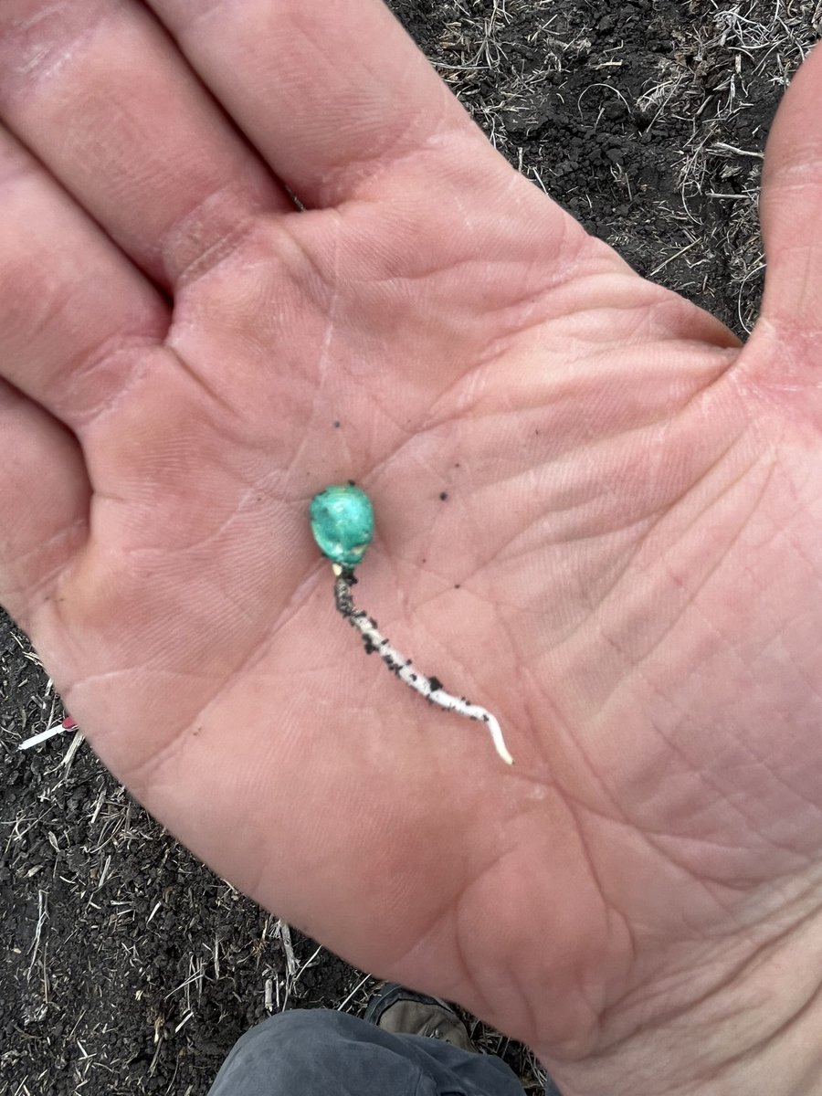 Ale Frick tweet media