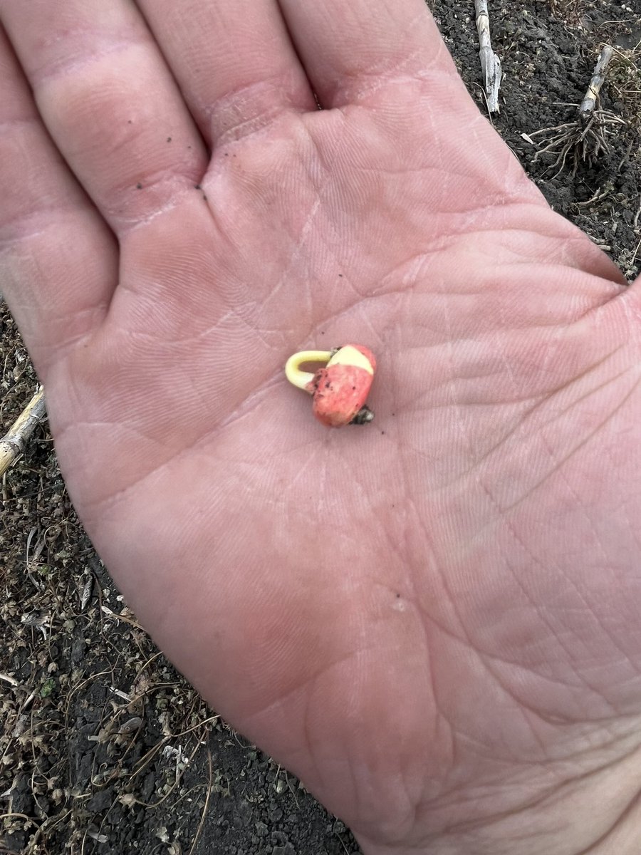 Ale Frick tweet media