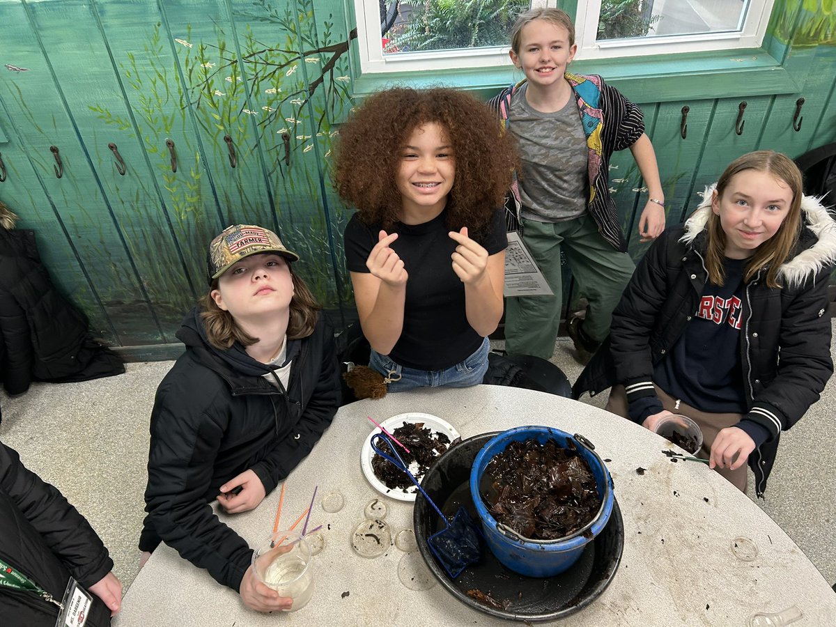 CCPS_STEM tweet media