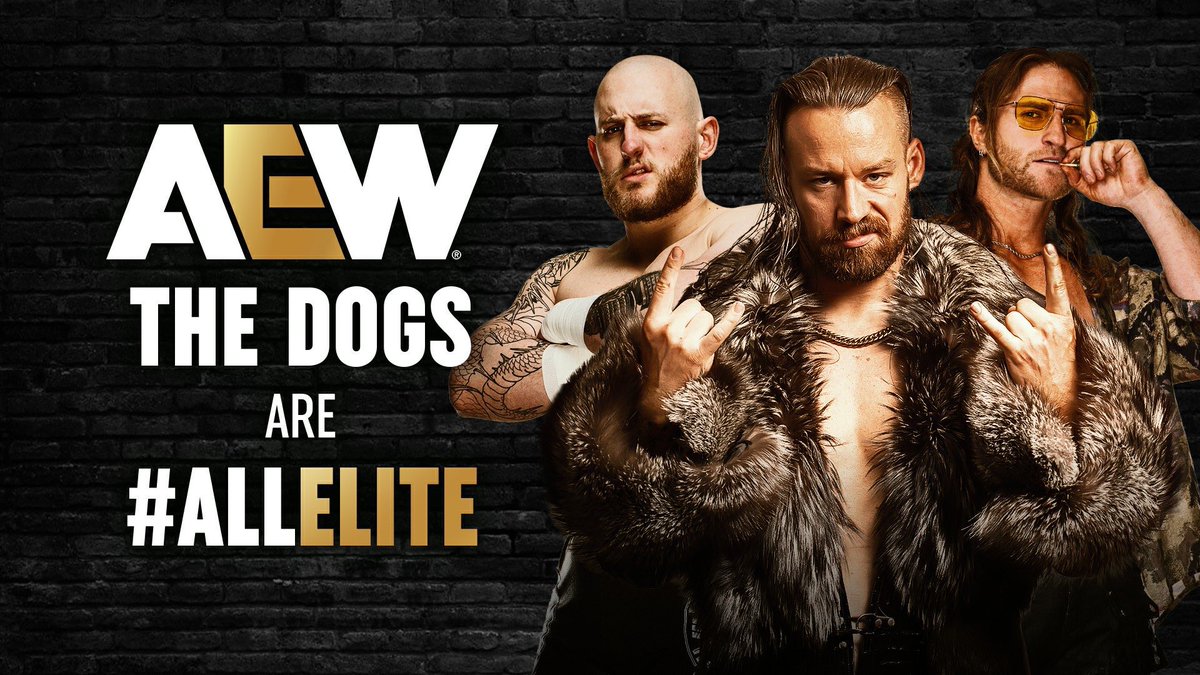 Ace109610's tweet image. David Finlay saw the Ricky Saints concert and thought All Elite Wrestling is better 
#AEWDynamite