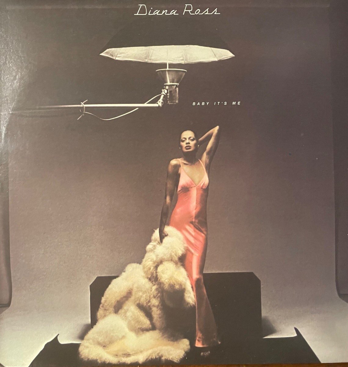 ayanacontreras.bsky.social tweet media