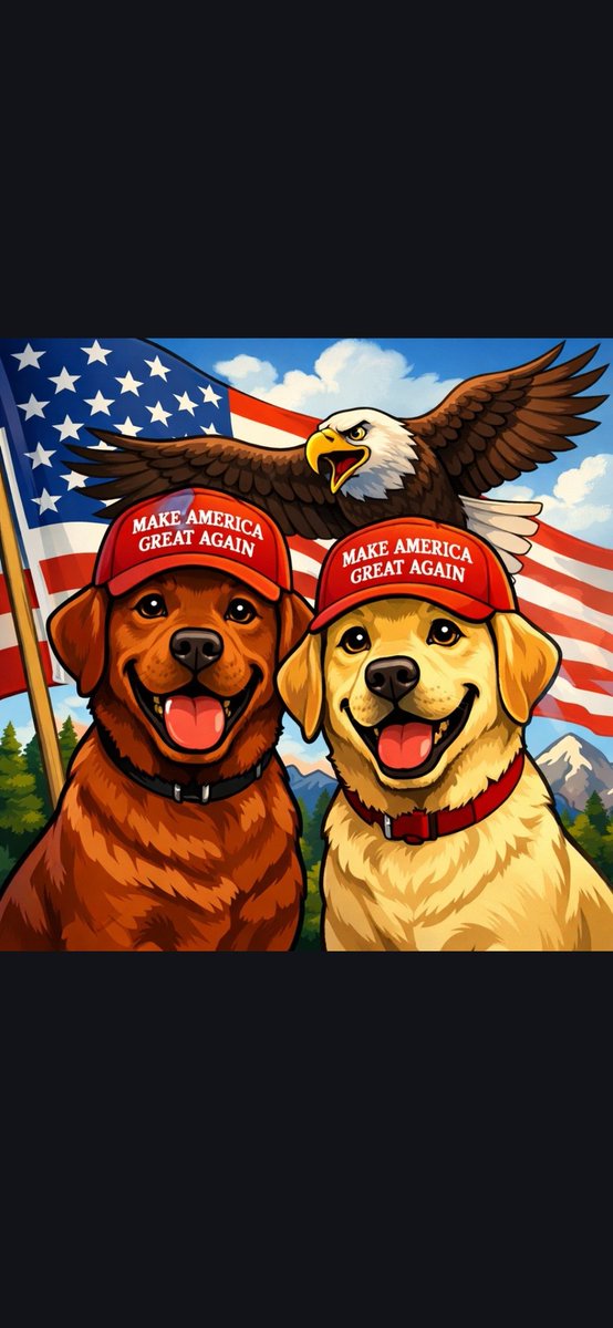 DPH01🇺🇲 tweet media