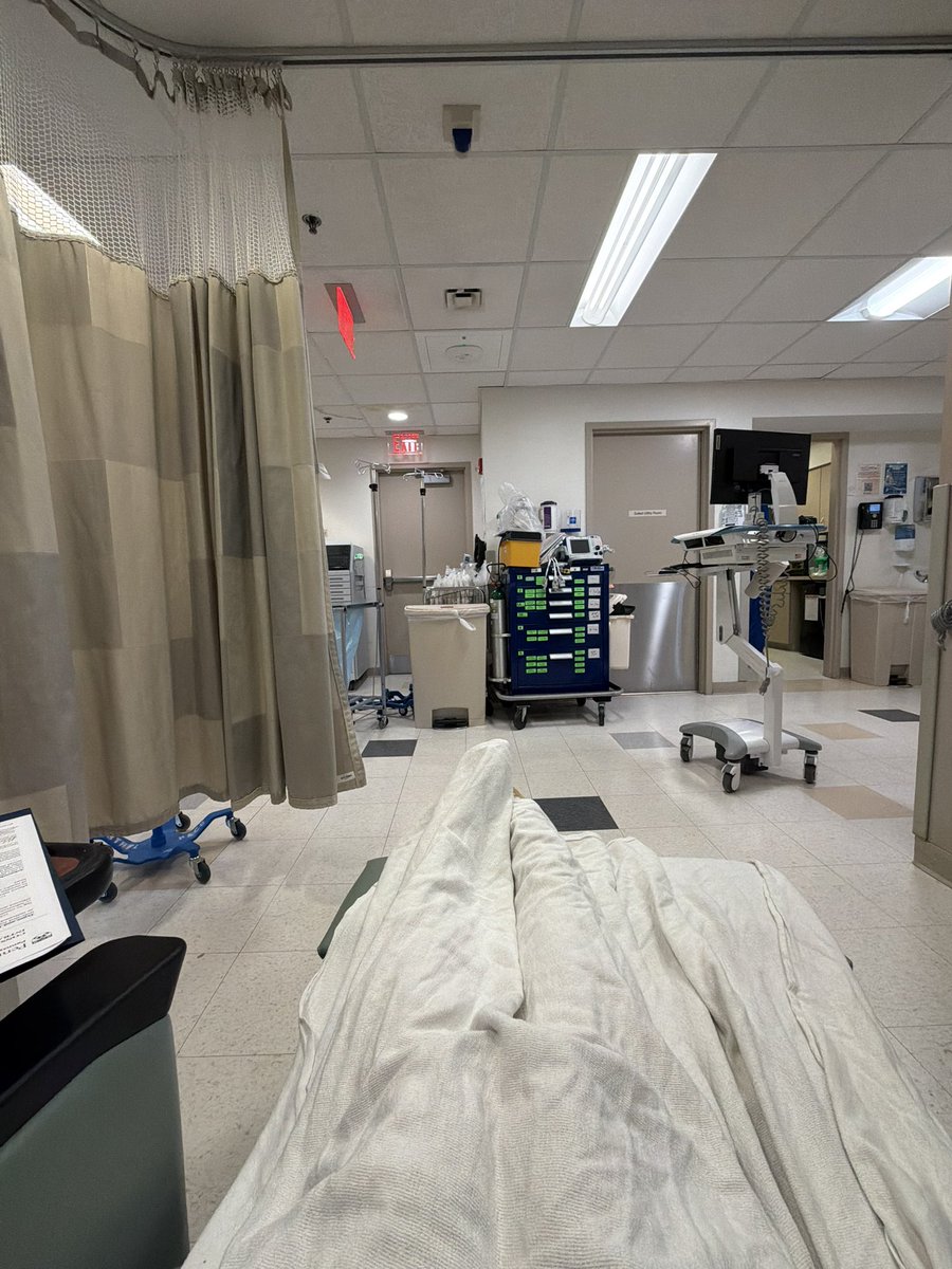 𝓂𝒶𝓂𝒶𝓃, 𝑒𝓈𝓆. tweet media