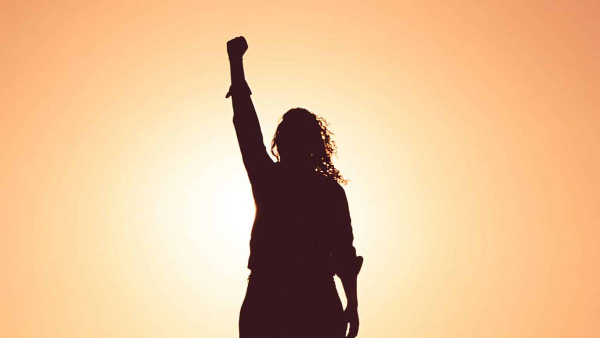 NC State University tweet media