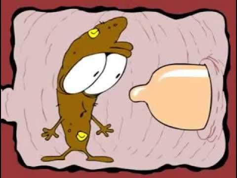 Amanditas 🎩🍉 tweet media