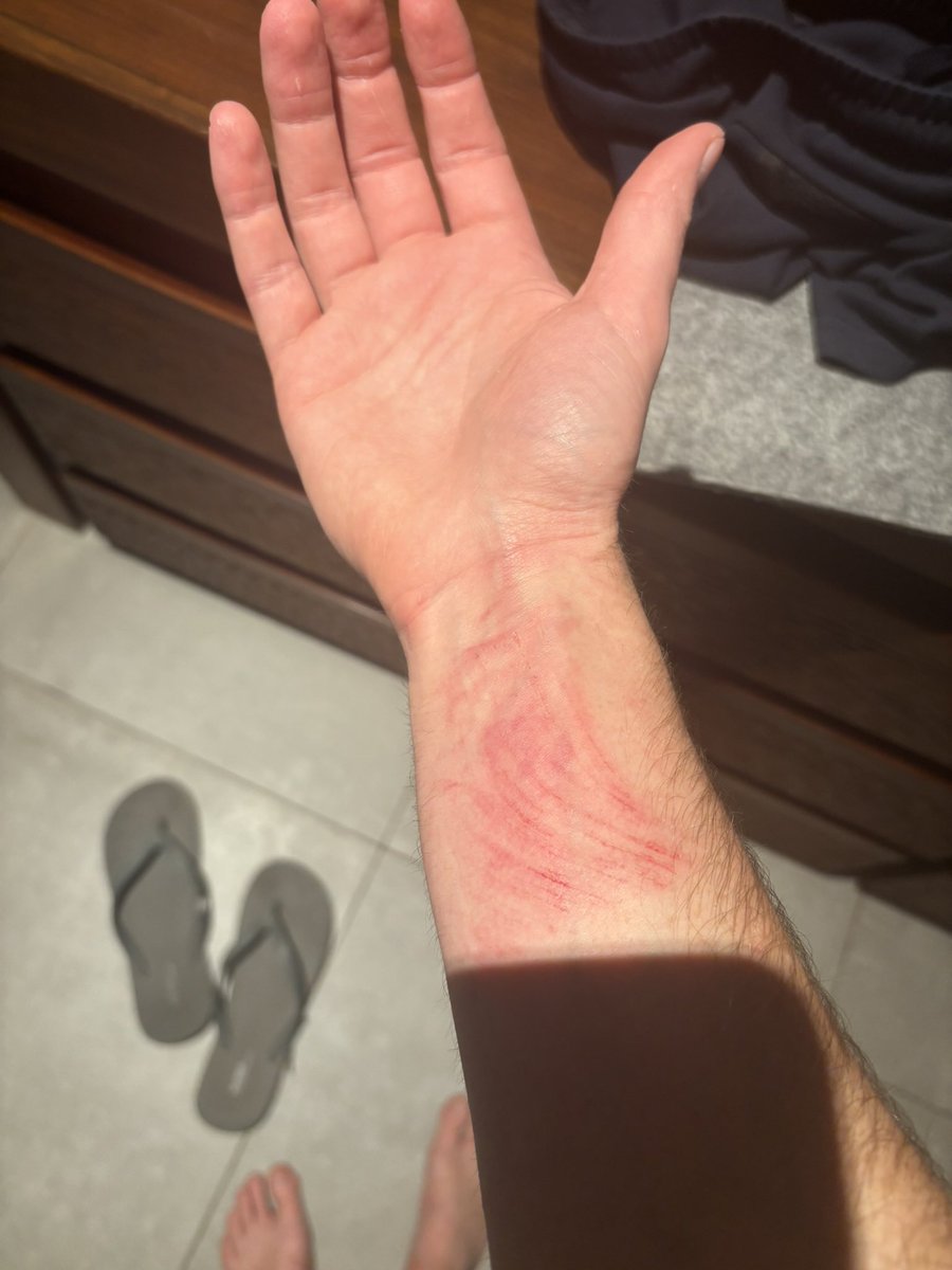 Mike Bloom tweet media