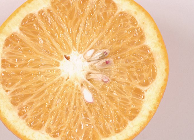 「おいしい！健康わかやま」和歌山県食品流通課 tweet media