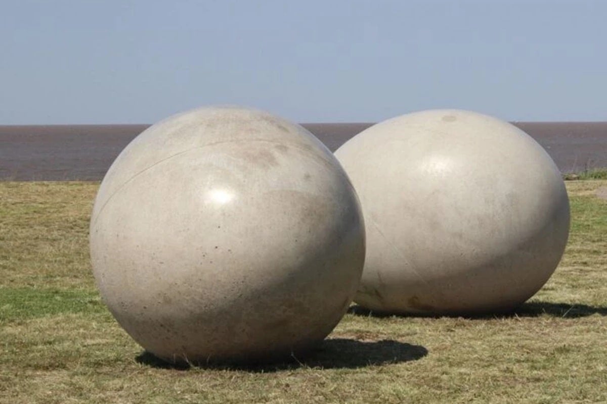 Sebastián Rodríguez tweet media