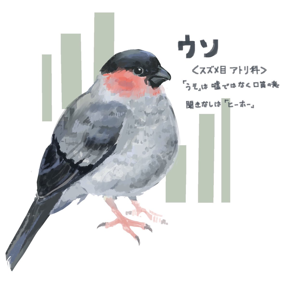 とりつじ tweet media