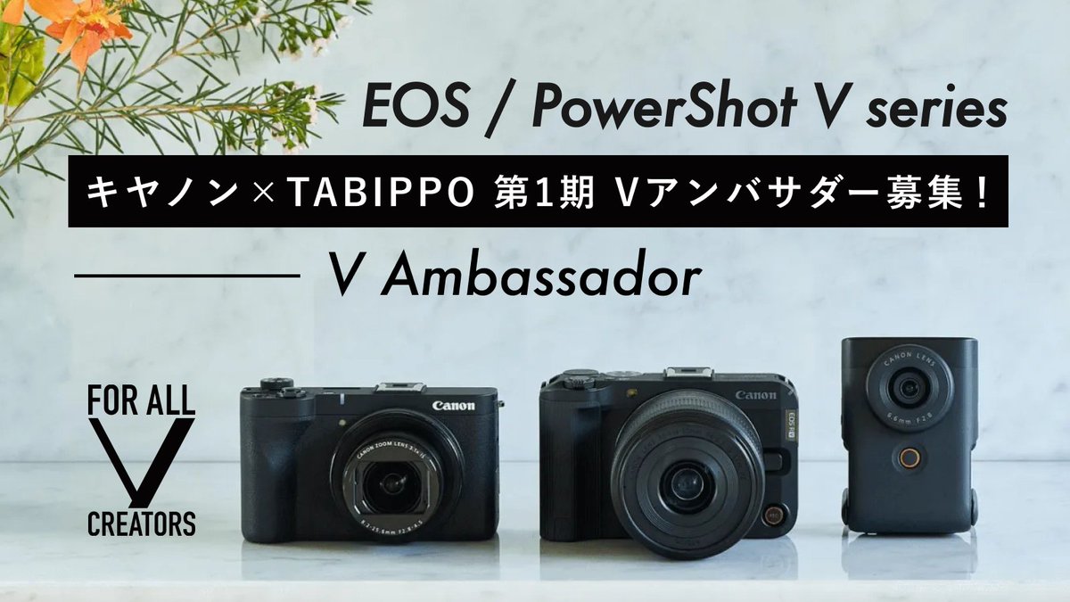 TABIPPO（タビッポ） tweet media