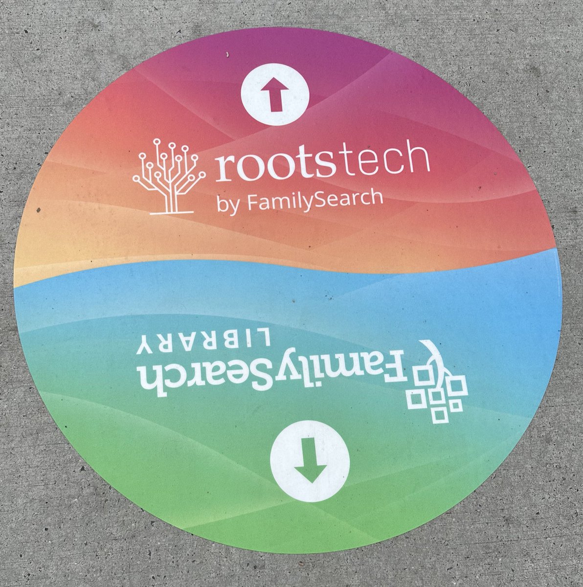 Patricia Bruhn tweet media