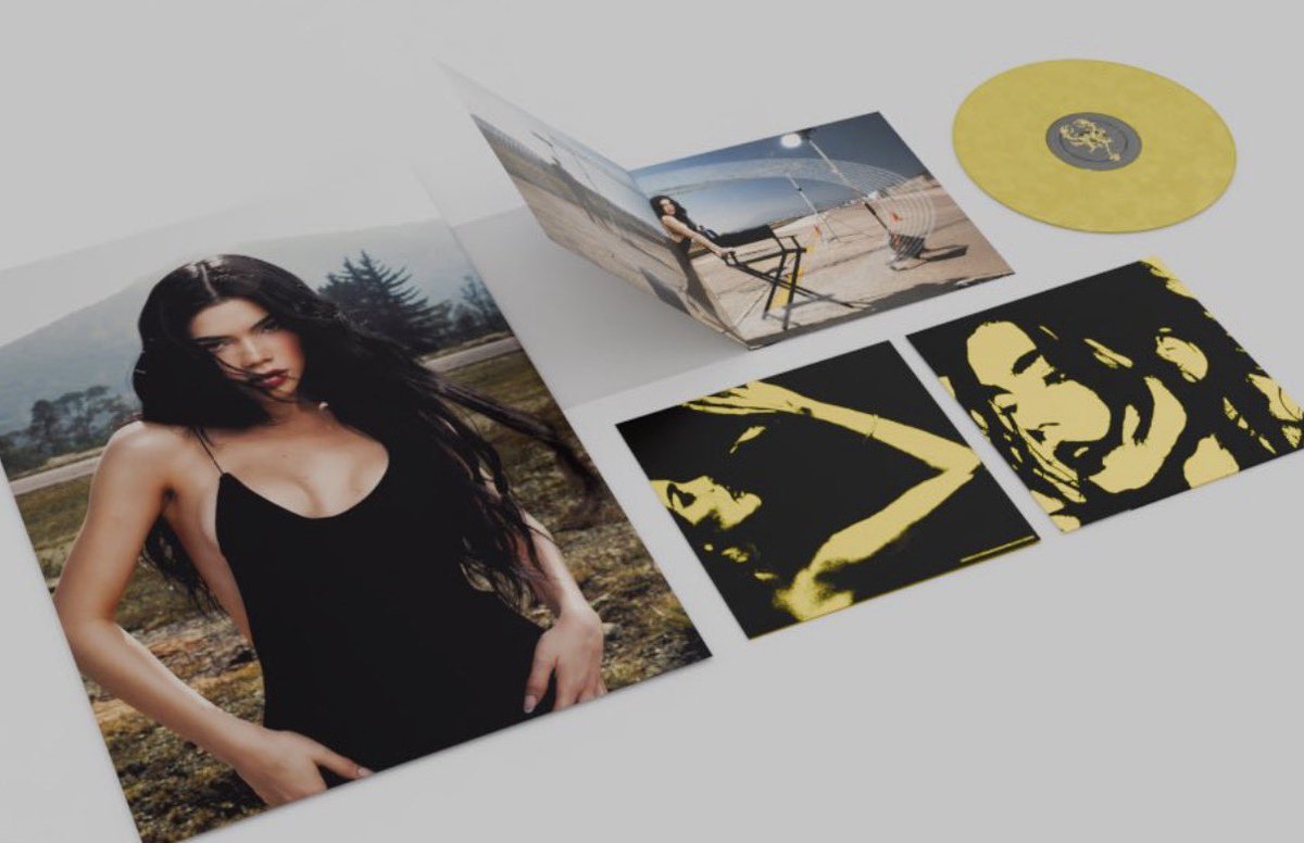 lo que es el vinyl en color amarillo?