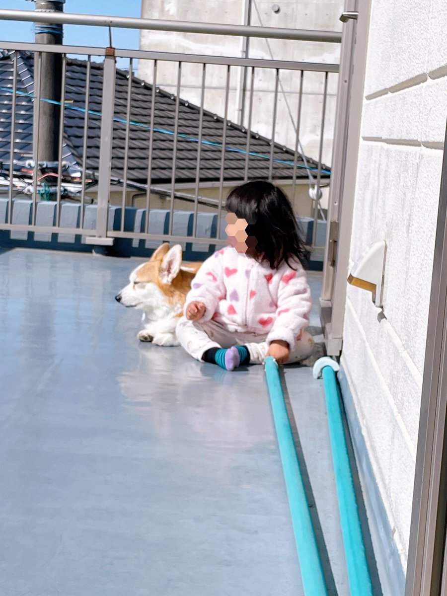 carry&mugi tweet media