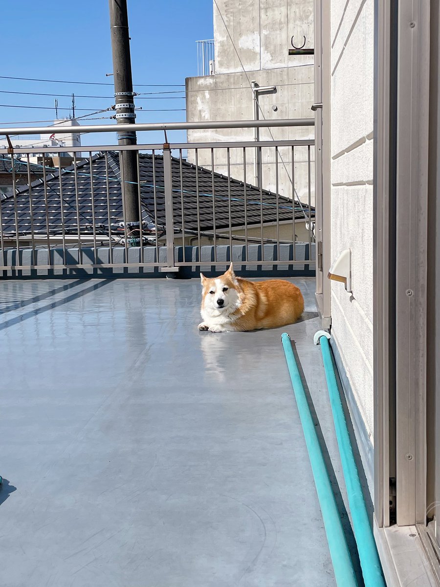 carry&mugi tweet media