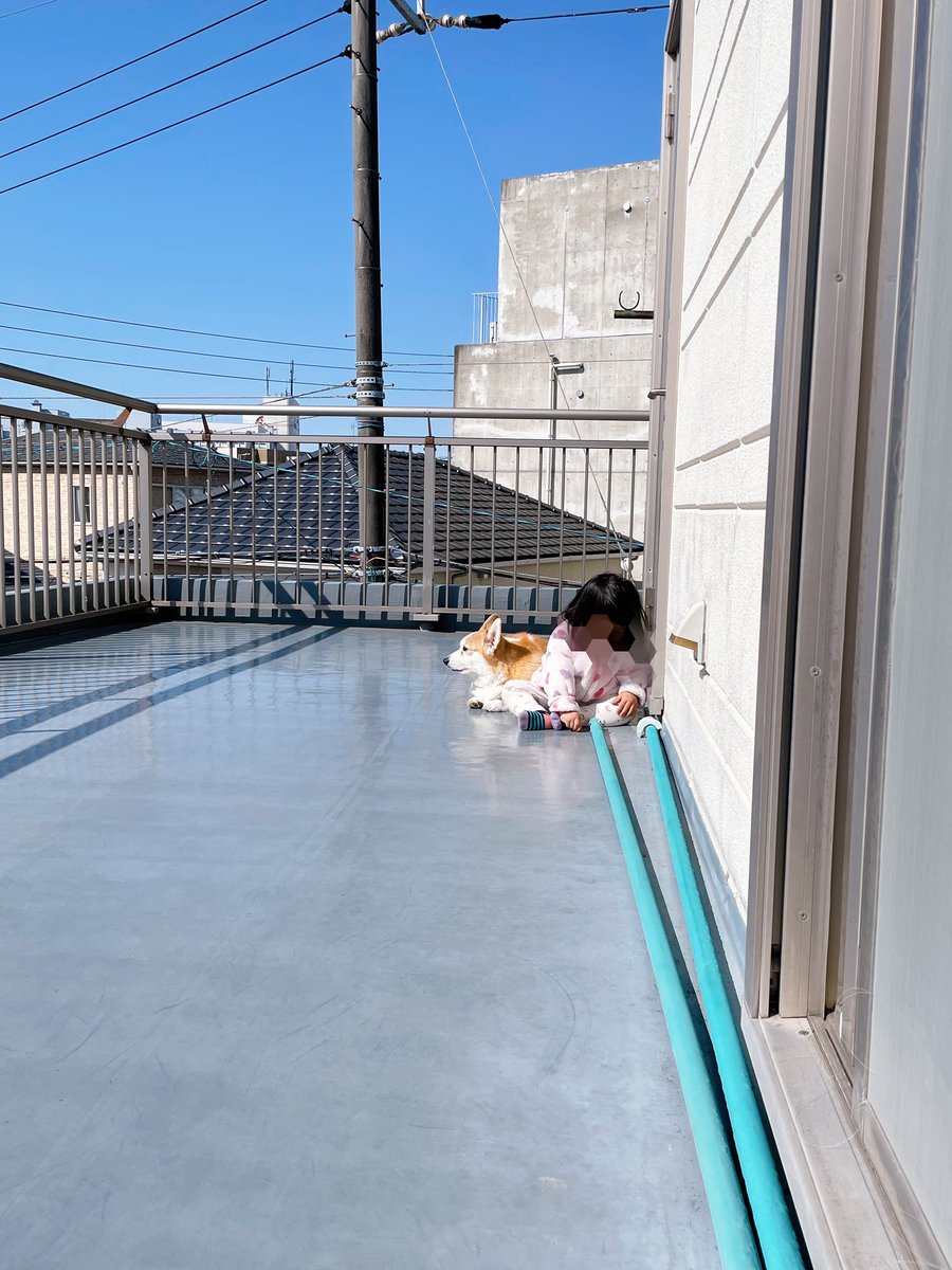 carry&mugi tweet media