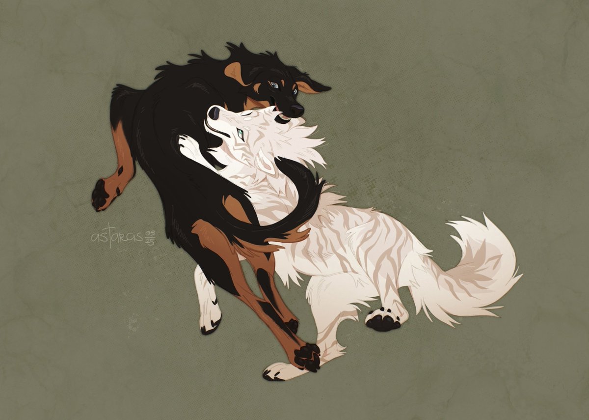 Astarcis🍂 tweet media