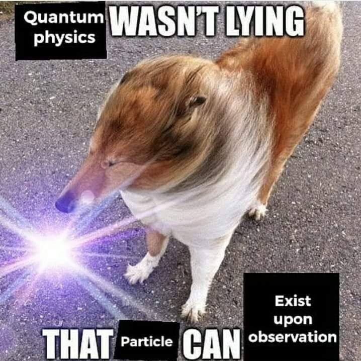 ShitpostGateway (@shitpostgate) on Twitter photo 