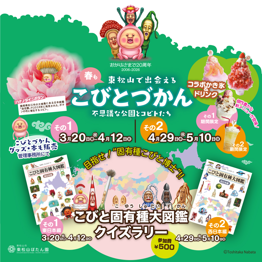 こびとづかん公式📚🌿 tweet media