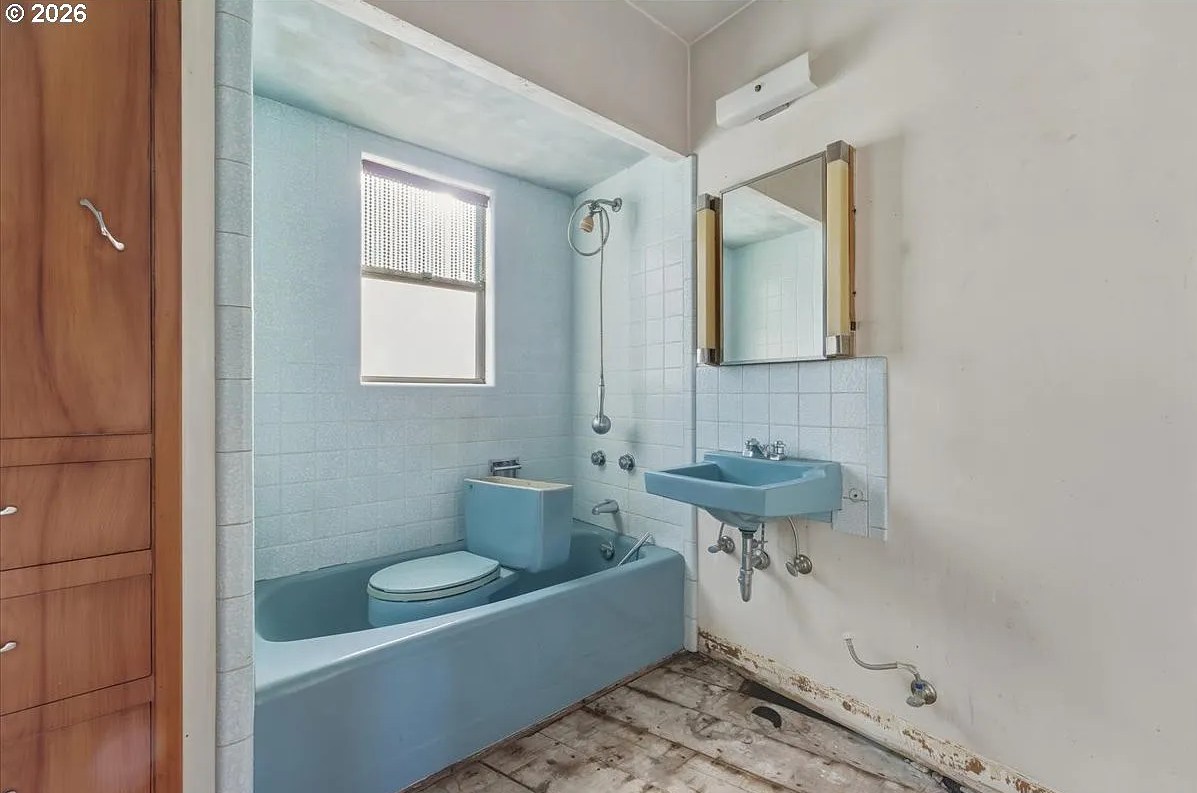 🪨 Geop! 🪨 tweet media