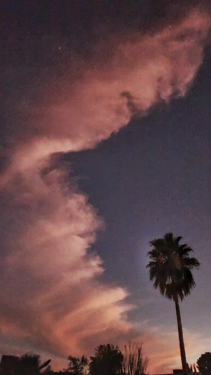 Bill Meier tweet media