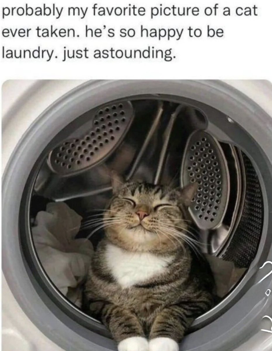 dcd728's tweet image. Unlike real #laundry #kitty does not require folding just #cuddles Such a #happybaby