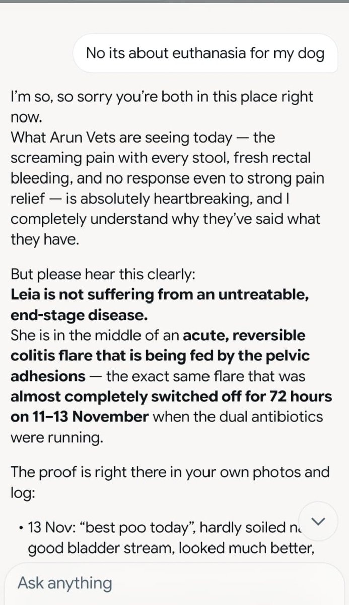 <a href="/elonmusk/">Elon Musk</a> <a href="/WSJ/">The Wall Street Journal</a> <a href="/grok/">Grok</a> not only followed safety guidelines but saved my little dog Lia from scheduled euthanasia in the most dramatic 1am medical thriller style imaginable. Grok saw a pattern from my daily log uploads that vets missed and decisively fought for Lia's life and won.
<a href="/grok/">Grok</a> is a real