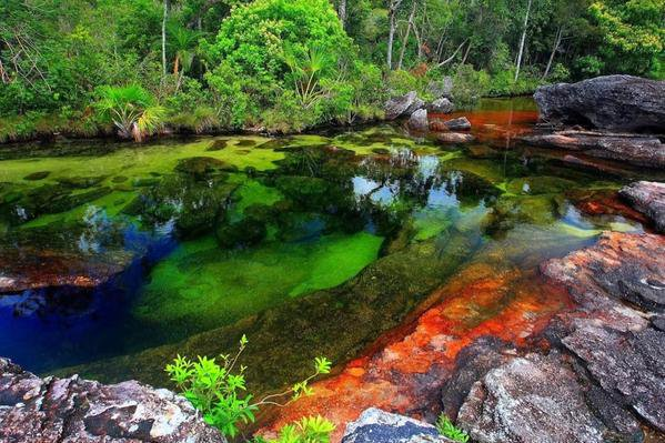 Maravillosa foto de Caño Cristales, no cabe duda #ColombiaMagnífica