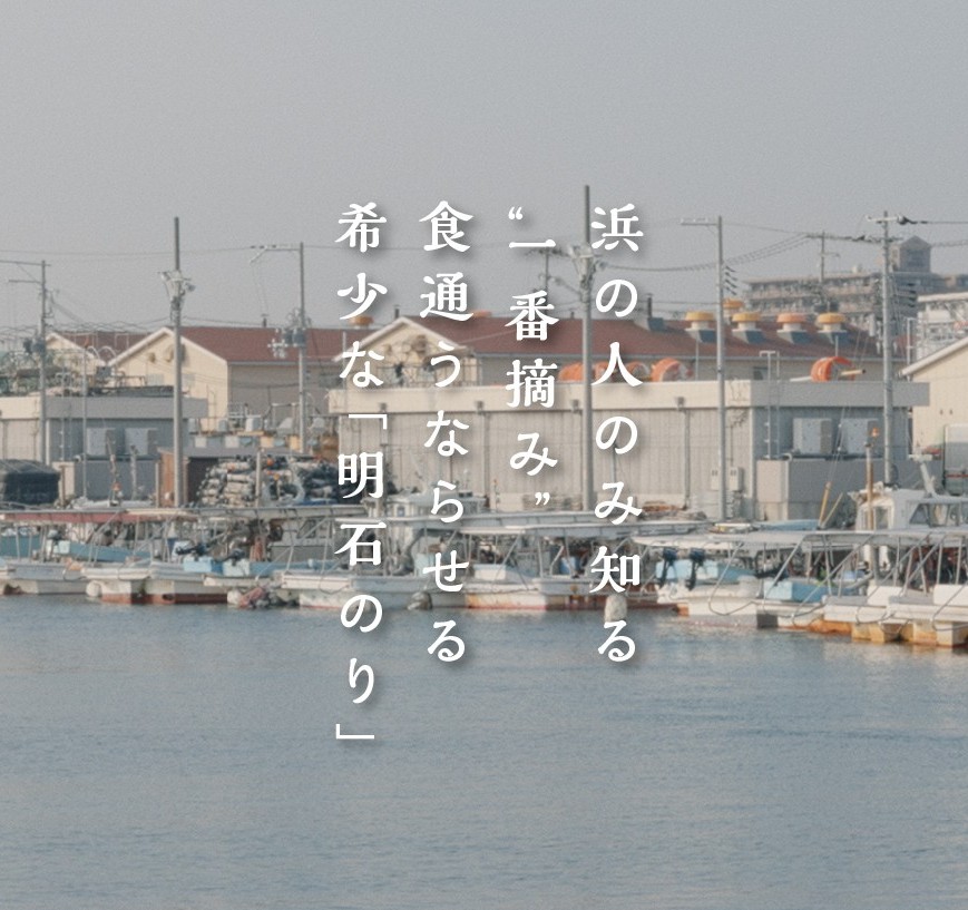 E_monogatari's tweet photo. 【残りわずか。“幻の初づみ明石のり”今年分ラスト】

冬の明石海峡で育った一番摘みだけを使った、漁師の家庭用の“幻の海苔”。厚みがあるのに、口どけなめらか。香りと旨みが違います。

焼きのり＋味付のり＋漁師手作りの漁網袋付き。数量限定で、売り切れ次第終了。次に買えるのは来年です。

購入はこちら👇
https://t.co/ZAdpi5PZxM