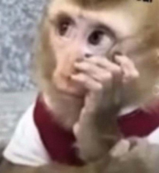 Babu chamando Juliano de filho e perguntando quem escolheu ele, Juliano não respondeu e disse pra Chai que viu muita gente na casa de vidro

Corta pro Breno contando tudo pro Boneco que era paredão falso e levou o Juliano. Cadê o combinado? #BBB26