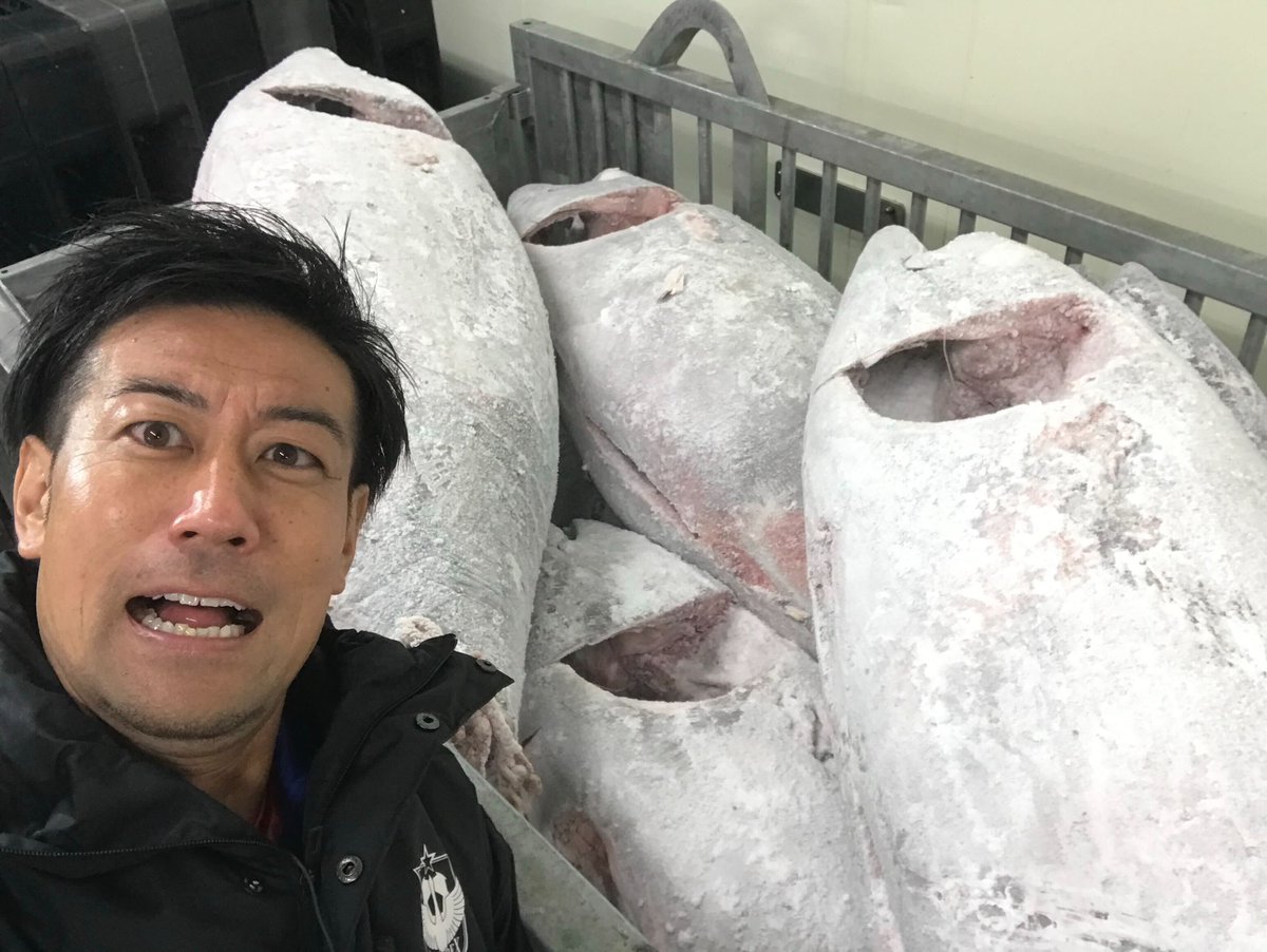 albirex_pr's tweet photo. ／
#アルビマグロ丼 の季節🐟
＼

3/7（土）高知戦にてアルビマグロ丼の販売が決定🙌（今季は予約販売は実施いたしません。）
#山崎食品 直送🚚脂の乗ったマグロが口の中でとろけます🤤
数量限定‼︎お買い求めはお早めに🙇‍♂️
【販売エリア】
🟧斗伸（W1･2）
🟧フードクリエイション（E1･2、S1）

#albirex #アルビレックス新潟