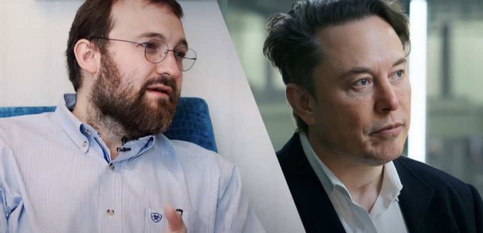 TapTools tweet media